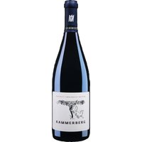 Der Kammerberg Spätburgunder GG aus dem Jahr 2018 vom Weingut Friedrich Becker ist ein Rotwein