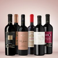 Vinolisa Selezione 6er Primitivo Probierpaket