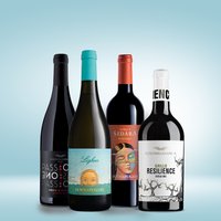Vinolisa Selezione Sizilien Box