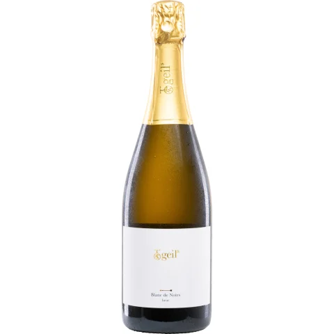 Geils Blanc de Noirs, Brut, Rheinhessen, Rheinhessen, 2018, Schaumwein
