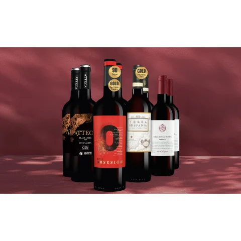 Festwein-Genießer-Paket 6L Weinpaket aus Spanien