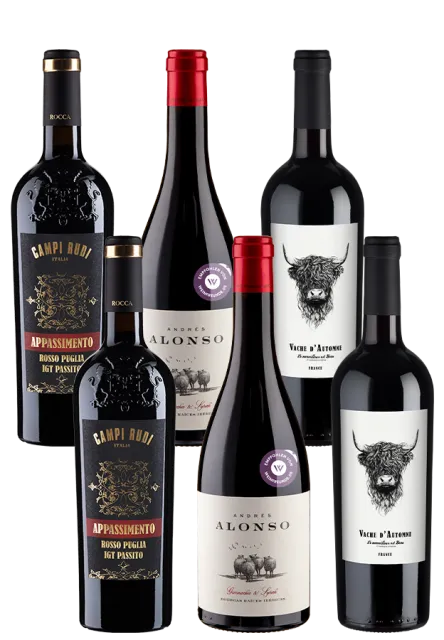 6er-Grillwein Paket - Weinpakete