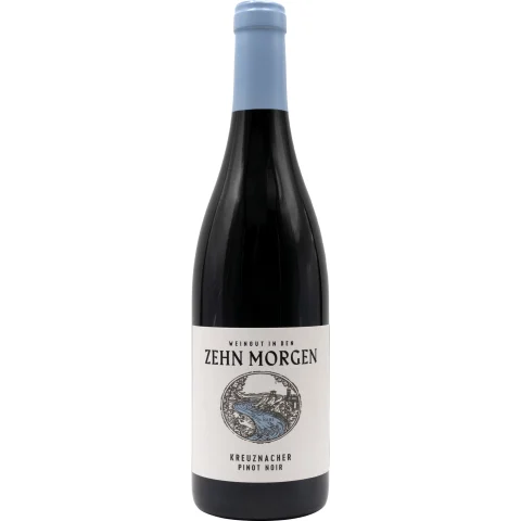 Zehn Morgen Pinot Noir, Trocken, Nahe, Nahe, 2022, Rotwein