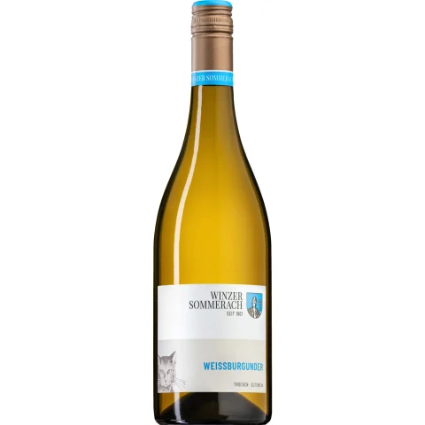Winzer Sommerach Weissburgunder, Trocken, Franken, Franken, 2025, Weißwein
